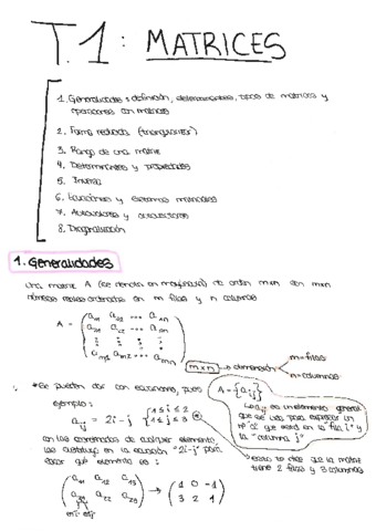 t.1 matrices.pdf