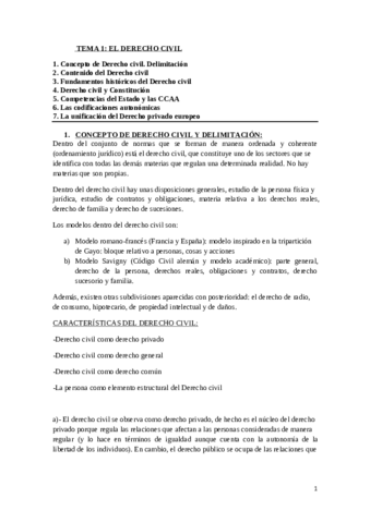 Derecho civil 1.pdf