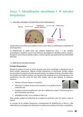 Tema 7 microbiología clínica.pdf