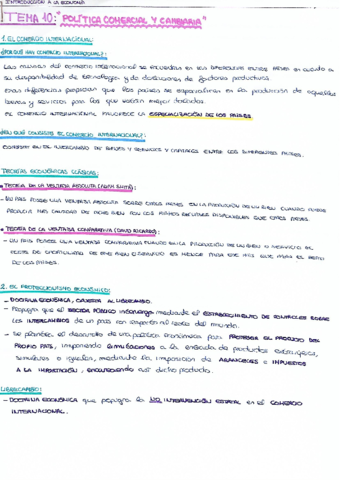 Introducción a la Economía Tema 10.pdf