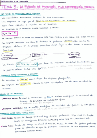 Introducción a la Economía Tema 3.pdf
