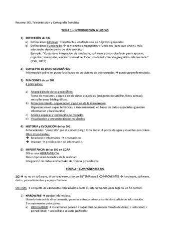 Resumen SIG  Primera parte.pdf