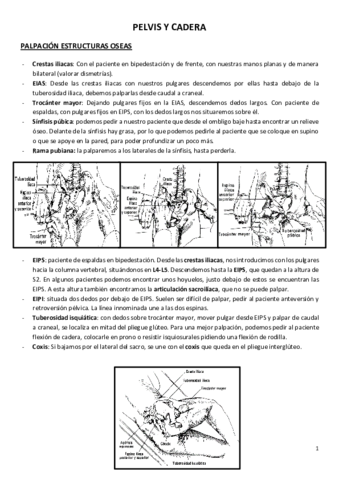 VALORACIÓN MMII CAROLINA.pdf