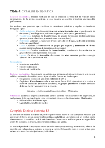 Resumen Tema 6 Bioquimica.pdf