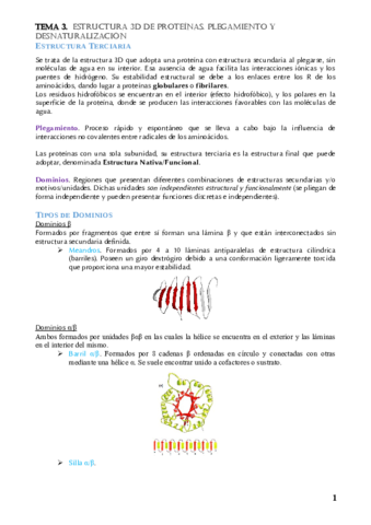 Resumen Tema 3 Bioquimica.pdf