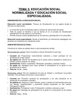 TEMA 5 ELSA.pdf
