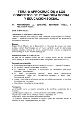 TEMA 1 ELSA.pdf