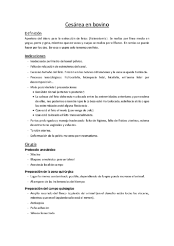 10. Cesárea en bovino.pdf