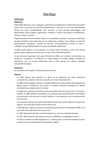 01. Mal Rojo.pdf