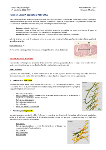 Tema 19 - Cirugía del nervio periférico.pdf