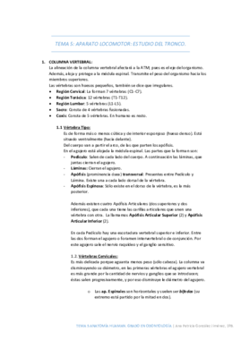 TEMA 5 Anatomía Humana.pdf
