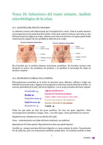 Tema 10 microbiología clínica.pdf
