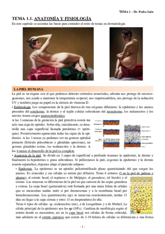 T1 - anatomia- fisiologia, semiologia, terapeutica.pdf