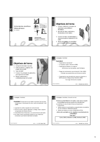 Tema 02. Estiramientos analíticos miotendinosos.pdf