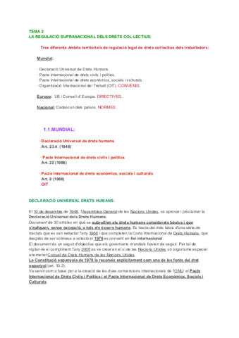 Dret sindical TEMA 2.pdf
