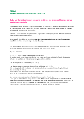 Dret sindical TEMA 3.pdf