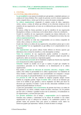 TEMA 2.pdf