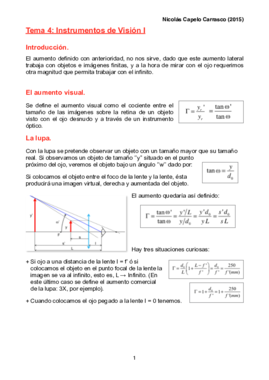 Tema 4 redactado.pdf