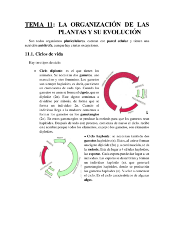 TEMA 11.pdf