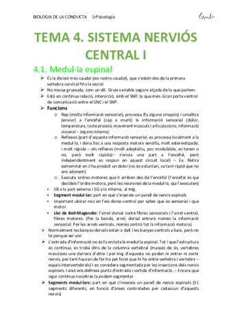 BIO - TEMA 4. SISTEMA NERVIÓS CENTRAL I (Psicologia UB 1r).pdf