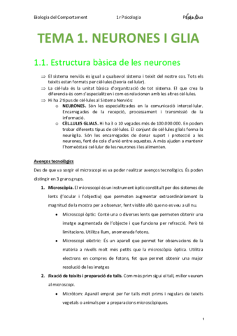 BIO - TEMA 1. NEURONES I GLIA (Psicologia UB 1r).pdf
