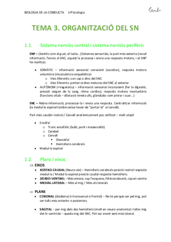 BIO - TEMA 3. ORGANITZACIÓ DEL SN (Psicologia UB 1r).pdf