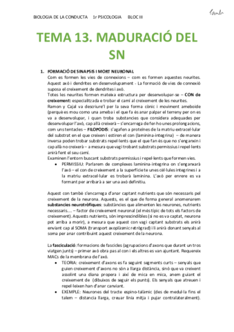 BIO - TEMA 13. MADURACIÓ DEL SN (Psicologia UB 1r).pdf