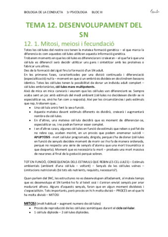 BIO - TEMA 12. DESENVOLUPAMENT DEL SN (Psicologia UB 1r).pdf