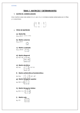 APUNTES TEMA 1 MATRICES Y DETERMINANTES.pdf