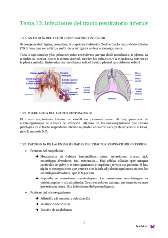 Tema 13 microbiología clínica.pdf