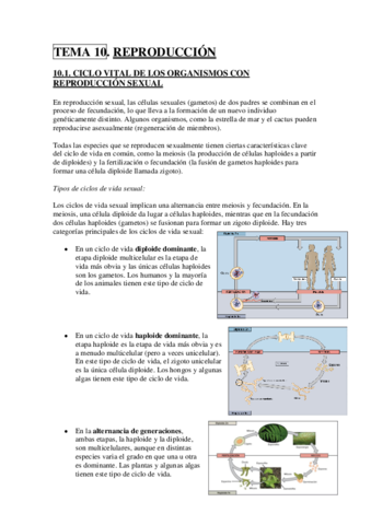 TEMA 10.pdf