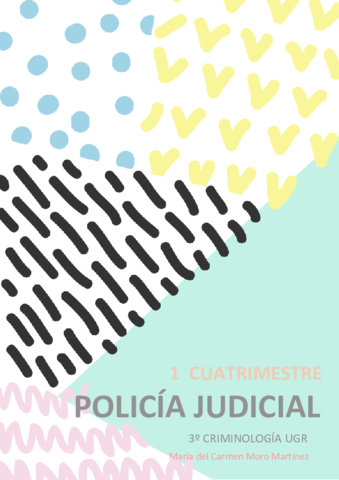 Policía Judicial.pdf