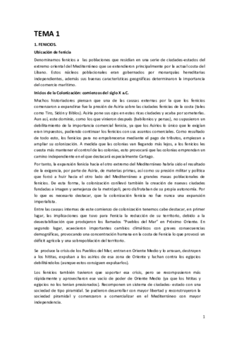 aHISTORIA TEMA 1.pdf