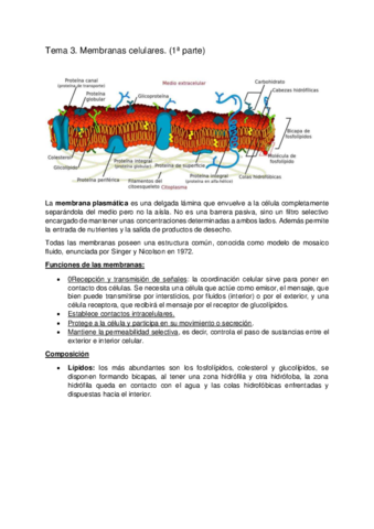 Tema 3. Membranas celulares 1.pdf