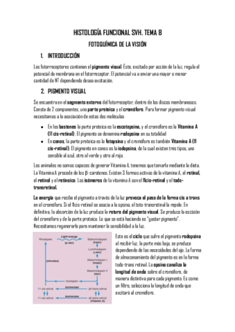TEMA 8.pdf