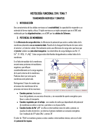 TEMA 7.pdf