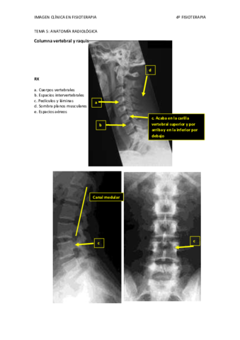 TEMA 5.pdf