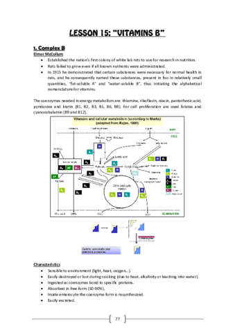Lesson 15 (Vitamins B).pdf