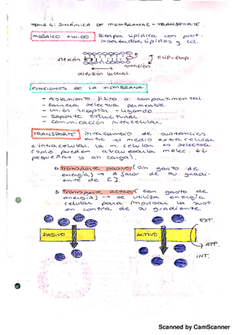 Dinámica de membranas-transporte.pdf