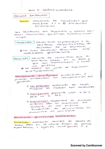Genética microbiana.pdf