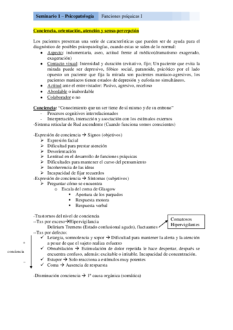 Seminario 1 - Funciones psiquicas 1.pdf