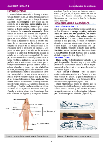 Anatomía tema 1.pdf