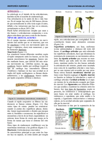 Anatomia tema 3.pdf
