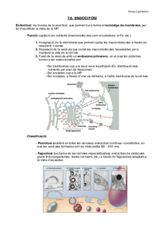 Apunts Biologia Cel·lular (T.6).pdf