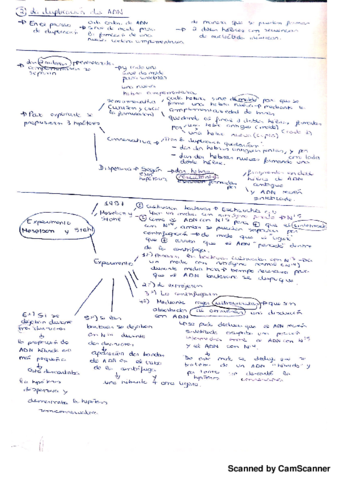 ADN.pdf