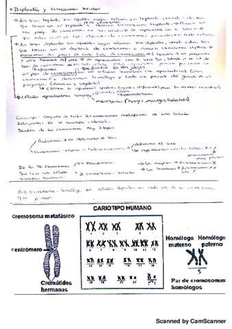 Introduccion a la genética.pdf