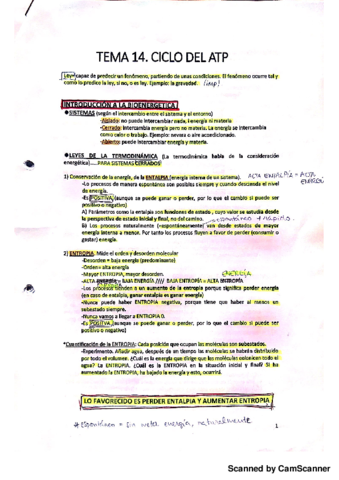 Ciclo del ATP.pdf