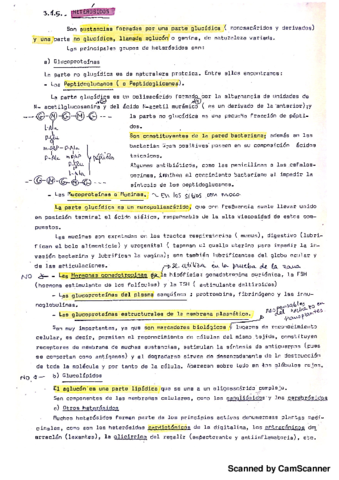 Heterosidos Bioq.pdf