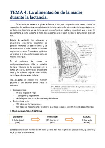 TEMA 4. La alimentación de la madre durante la lactancia.pdf