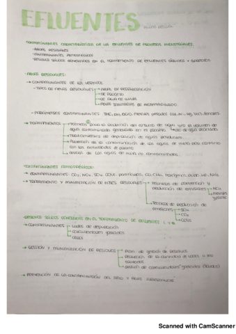EFLUENTES_LÍQUIDOS.pdf